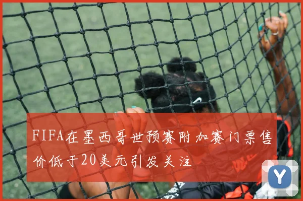 FIFA在墨西哥世预赛附加赛门票售价低于20美元引发关注