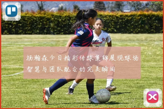 杨瀚森今日精彩传球集锦展现球场智慧与团队配合的完美瞬间